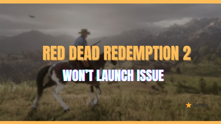 Steam says Red dead redemption 2 is not installed but the settings
